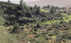 For sale, land, field, Limassol, Trimiklini, 6,519m², €46,000 , Limassol For sale, land, field, Limassol, Trimiklini, 6,519m², €46,000 , Limassol