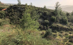 For sale, land, field, Limassol, Trimiklini, 6,519m², €46,000 , Limassol For sale, land, field, Limassol, Trimiklini, 6,519m², €46,000 , Limassol
