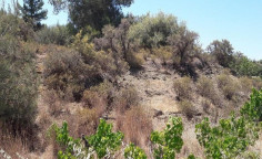 For sale, land, field, Limassol, Trimiklini, 4,014m², €28,000 , Limassol For sale, land, field, Limassol, Trimiklini, 4,014m², €28,000 , Limassol