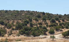 For sale, land, Larnaca, Agios Theodoros, 9,031m&sup2;, &euro;47,000 , Larnaca