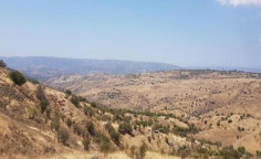 For sale, land, field, Paphos, pentalia, 16,093m&sup2;, &euro;17,000 
