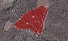 For sale, land, field, Paphos, pentalia, 16,093m&sup2;, &euro;17,000 