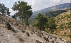 For sale, land, Limassol, agios therapon, 74,584m&sup2;, &euro;75,000 