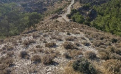 For sale, land, Limassol, agios therapon, 74,584m&sup2;, &euro;75,000 