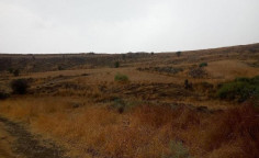 For sale, land, Nicosia, Ergates, 7,804m&sup2;, &euro;17,000 