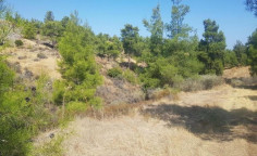 For sale, land, field, Nicosia, katydata, 13,045m&sup2;, &euro;13,000 