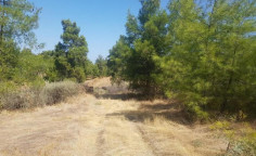 For sale, land, field, Nicosia, katydata, 13,045m&sup2;, &euro;13,000 
