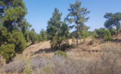 For sale, land, field, Nicosia, katydata, 13,045m&sup2;, &euro;13,000 