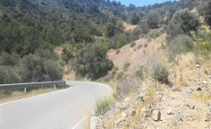 For sale, land, field, Nicosia, lazanias, 20,134m&sup2;, &euro;55,000 