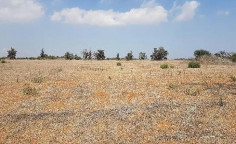 For sale, land, Famagusta, Avgorou, 8,877m&sup2;, &euro;14,000 