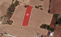 For sale, land, Famagusta, Avgorou, 8,877m&sup2;, &euro;14,000 