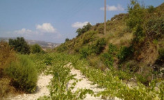 For sale, land, field, Limassol, Pachna, 4,646m&sup2;, &euro;16,000 