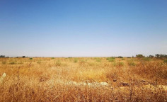 For sale, land, Famagusta, Avgorou, 8,998m&sup2;, &euro;36,000 