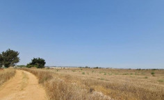 For sale, land, Famagusta, Avgorou, 8,998m&sup2;, &euro;36,000 