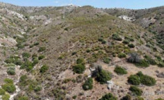 For sale, land, field, Larnaca, ora, 2,342m&sup2;, &euro;4,000 