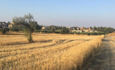 For sale, land, field, Nicosia, Sia, 11,500m&sup2;, &euro;345,000 , Nicosia
