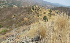 For sale, land, field, Nicosia, pigenia, 16,054m&sup2;, &euro;87,000 , Nicosia