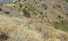 For sale, land, field, Nicosia, pigenia, 16,054m&sup2;, &euro;87,000 , Nicosia