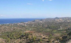 For sale, land, field, Nicosia, pigenia, 1,673m&sup2;, &euro;30,000 , Nicosia