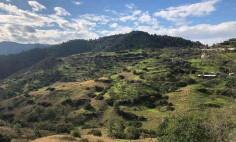 For sale, land, field, Nicosia, pigenia, 671m&sup2;, &euro;13,000 , Nicosia
