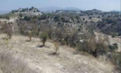 For sale, land, Paphos, eledio, 7,024m&sup2;, &euro;94,000 , Paphos