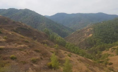 For sale, land, field, Nicosia, pigenia, 18,395m&sup2;, &euro;28,000 