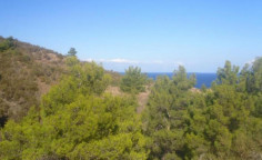 For sale, land, field, Nicosia, pigenia, 2,342m&sup2;, &euro;45,000 , Nicosia