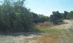 For sale, land, field, Larnaca, Ormideia, 3,087m&sup2;, &euro;50,000 , Larnaca