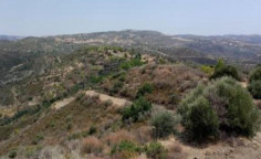For sale, land, field, Larnaca, lageia, 24,418m&sup2;, &euro;50,000 