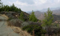 For sale, land, field, Larnaca, lageia, 24,418m&sup2;, &euro;50,000 