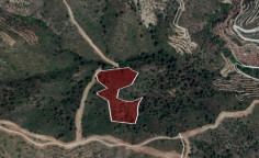 For sale, land, field, Larnaca, ora, 15,385m&sup2;, &euro;16,000 