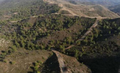 For sale, land, field, Larnaca, ora, 15,385m&sup2;, &euro;16,000 