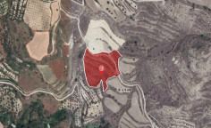 For sale, land, Paphos, Drymou, 15,720m&sup2;, &euro;27,000 