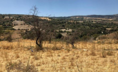 For sale, land, Paphos, Drymou, 15,720m&sup2;, &euro;27,000 