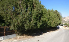 For sale, land, Limassol, Dora, 4,260m&sup2;, &euro;77,000 , Limassol
