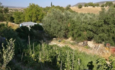 For sale, land, Limassol, Dora, 4,260m&sup2;, &euro;77,000 , Limassol