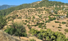 For sale, land, field, Nicosia, pigenia, 5,468m&sup2;, &euro;65,000 , Nicosia