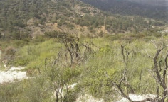 For sale, land, Limassol, Agios Mamas, 12,041m&sup2;, &euro;24,000 