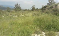 For sale, land, Limassol, Agios Mamas, 12,041m&sup2;, &euro;24,000 