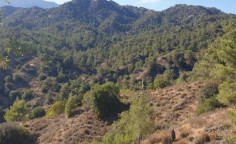 For sale, land, Limassol, Agios Mamas, 24,750m&sup2;, &euro;3,000 