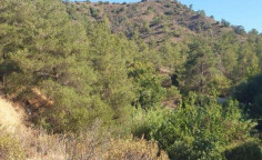 For sale, land, Limassol, Agios Mamas, 2,007m², €2,000 For sale, land, Limassol, Agios Mamas, 2,007m², €2,000
