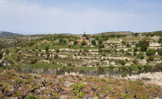 For sale, land, Limassol, Vasa Koilaniou, 1,041m&sup2;, &euro;12,000 , Limassol