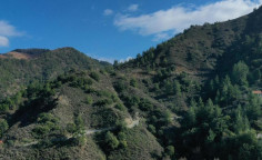 For sale, land, Nicosia, kalopanagiotis, 5,965m&sup2;, &euro;12,000 