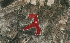 For sale, land, Limassol, Dora, 53,513m&sup2;, &euro;12,000 