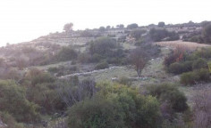 For sale, land, Limassol, Dora, 53,513m&sup2;, &euro;12,000 