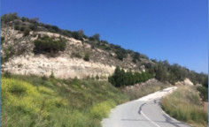 For sale, land, Paphos, Amargeti, 12,431m&sup2;, &euro;15,000 
