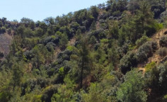 For sale, land, Nicosia, Moutoullas, 7,656m&sup2;, &euro;13,000 