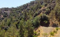 For sale, land, Nicosia, Moutoullas, 7,656m&sup2;, &euro;13,000 