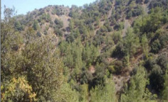 For sale, land, Nicosia, Moutoullas, 7,656m&sup2;, &euro;13,000 