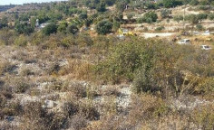 For sale, land, field, Limassol, agios therapon, 7,693m&sup2;, &euro;10,000 